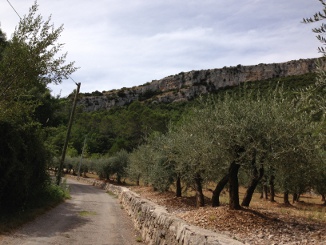 "Olive grove and cliffs near Pont"