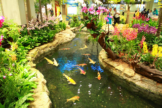 "Garden at Changi Airport"