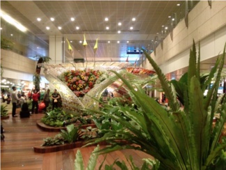 "Enchanted Garden at Changi Airport"