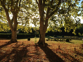 "Morning Garden near Le Prieuré"